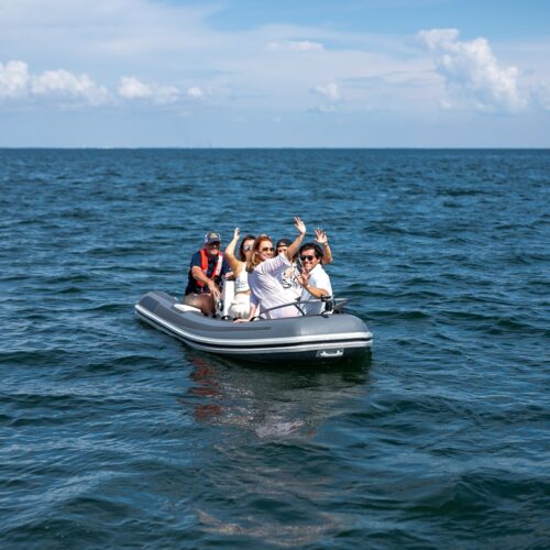 Tendering to the St. Pete Pier Tendering to the St. Pete Pier